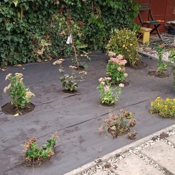 Układanie kostki brukowej Tarnowo Podgórne 4