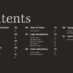 Igor Wydmuch Digital Innovations - Brand book