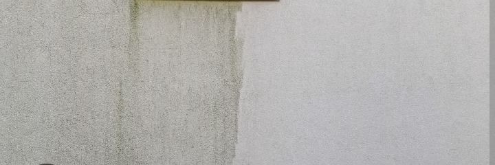 Fragment elewacji budynku z wyraźnym podziałem na część wyczyszczoną i pokrytą zielonym nalotem, ukazujący efekt przed i po czyszczeniu.