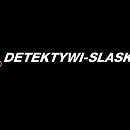 www.detektywi-slask.pl