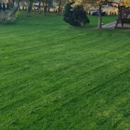 Równomiernie skoszony trawnik z rolki, widok na drzewa liściaste w jesiennych barwach i drzewa iglaste w tle, huśtawka ogrodowa po prawej.