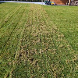 Wycinka drzew Trojany 2