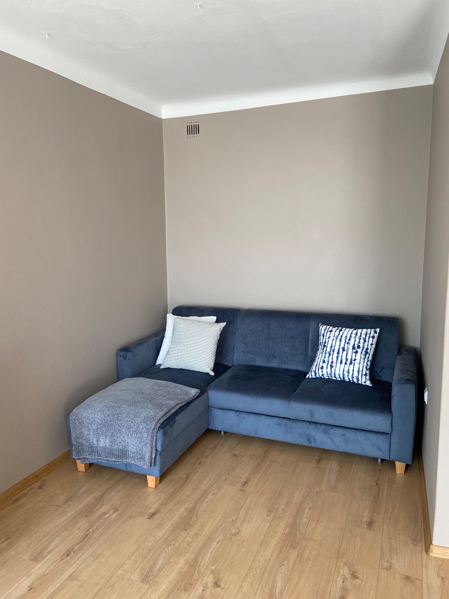 Salon po malowaniu ścian na kolor taupe i ułożeniu jasnych paneli podłogowych, z granatową kanapą i dekoracyjnymi poduszkami.