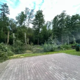 Przycięte pnie drzew po wycince, z gałęziami leżącymi na ziemi, widoczny podnośnik koszowy i pracownik w tle, kostka brukowa na pierwszym planie.