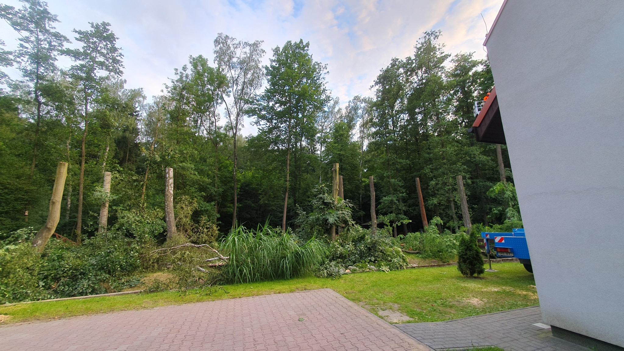 Widok na teren po wycince drzew, z pozostawionymi pniami i gałęziami, na tle gęstego lasu i częściowo widocznego budynku z niebieską platformą podnośnika.