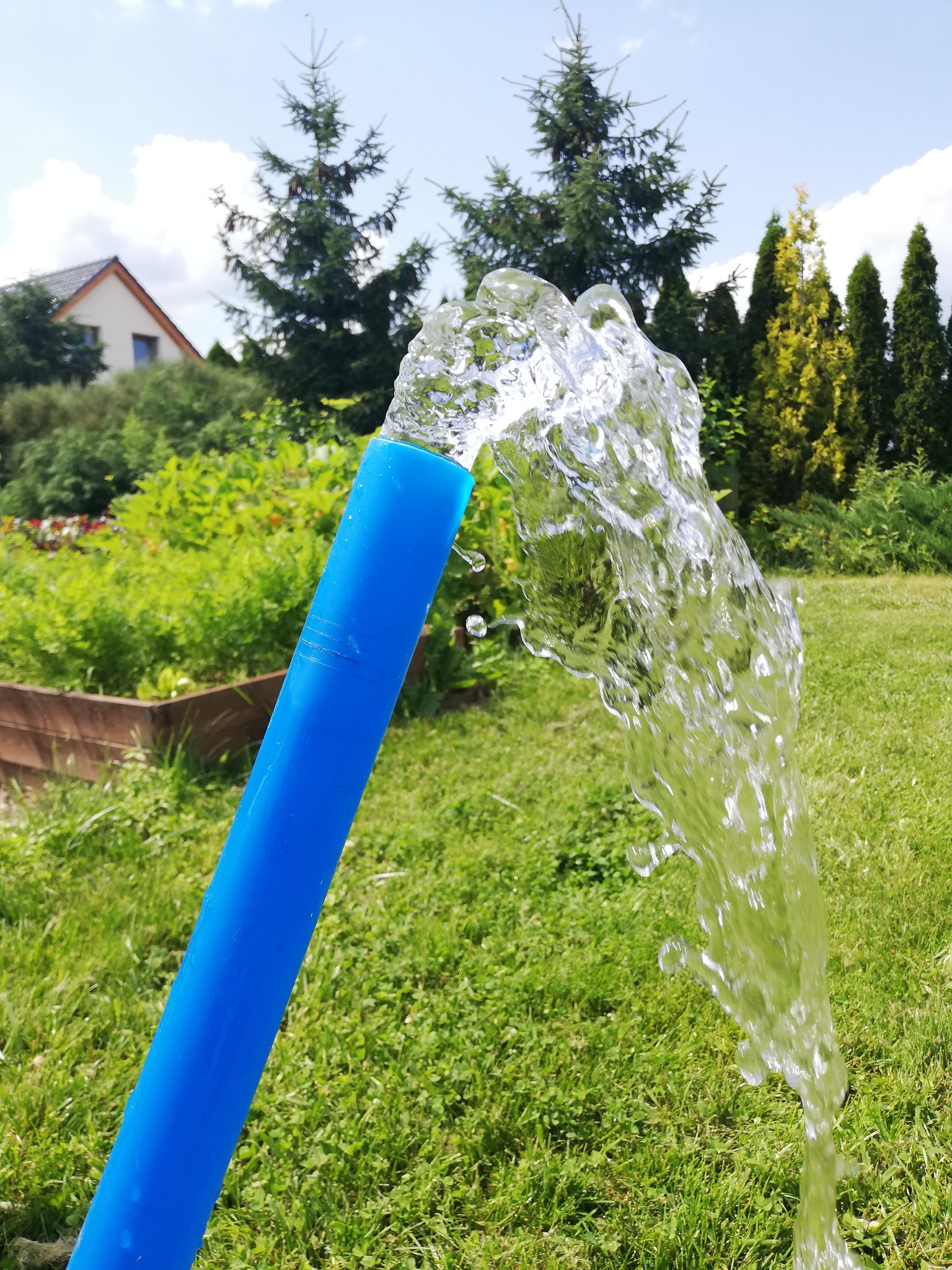 Strumień wody wypływający z niebieskiej rury na tle zielonego trawnika, ogrodu i domu.