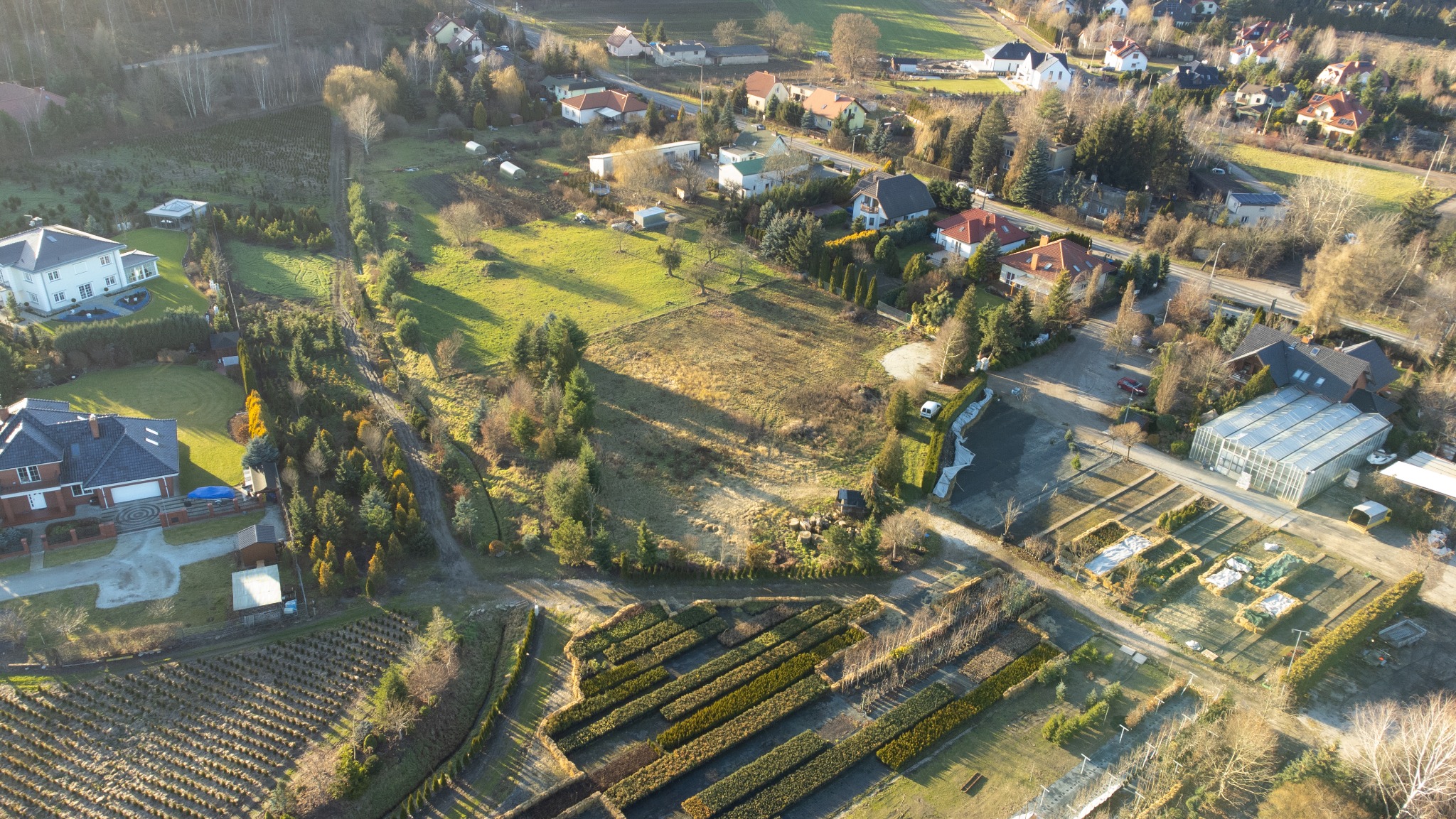 Widok z lotu ptaka na osiedle domów jednorodzinnych z ogrodami, szkółką roślin i szklarnią w słoneczny dzień.