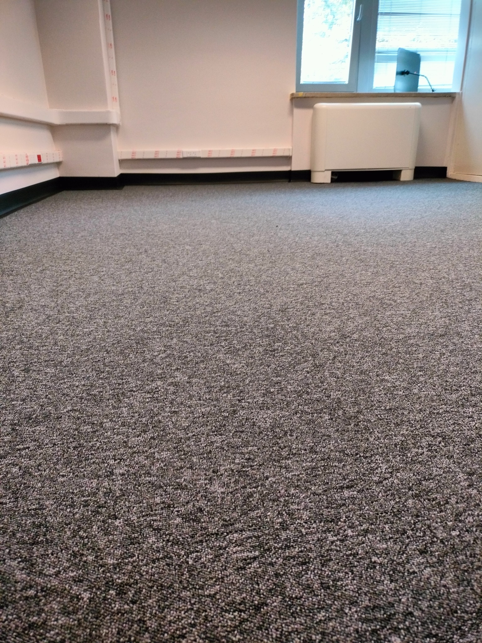 Szary dywan w biurze, widok z niskiego kąta, z widocznym grzejnikiem pod oknem i listwami przypodłogowymi.