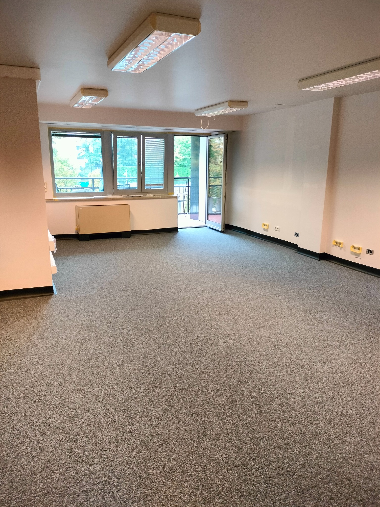 Pusta przestrzeń biurowa z szarą wykładziną dywanową, białymi ścianami, oknami z widokiem na zieleń i fluorescencyjnymi lampami sufitowymi.