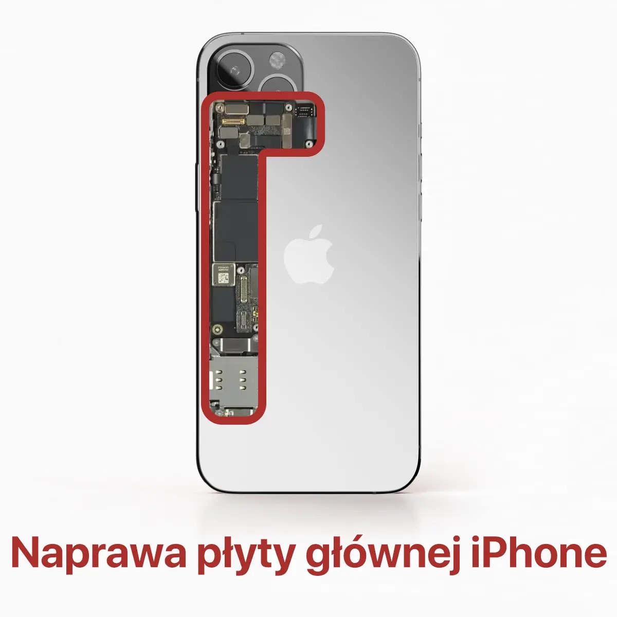 Widok na wewnętrzne komponenty iPhone'a z zaznaczoną płytą główną, prezentowane na białym tle.