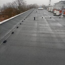 P.H.U. ,,PANTERA" ANNA CHORÓBSKA - Wymiana Dachu Łódź