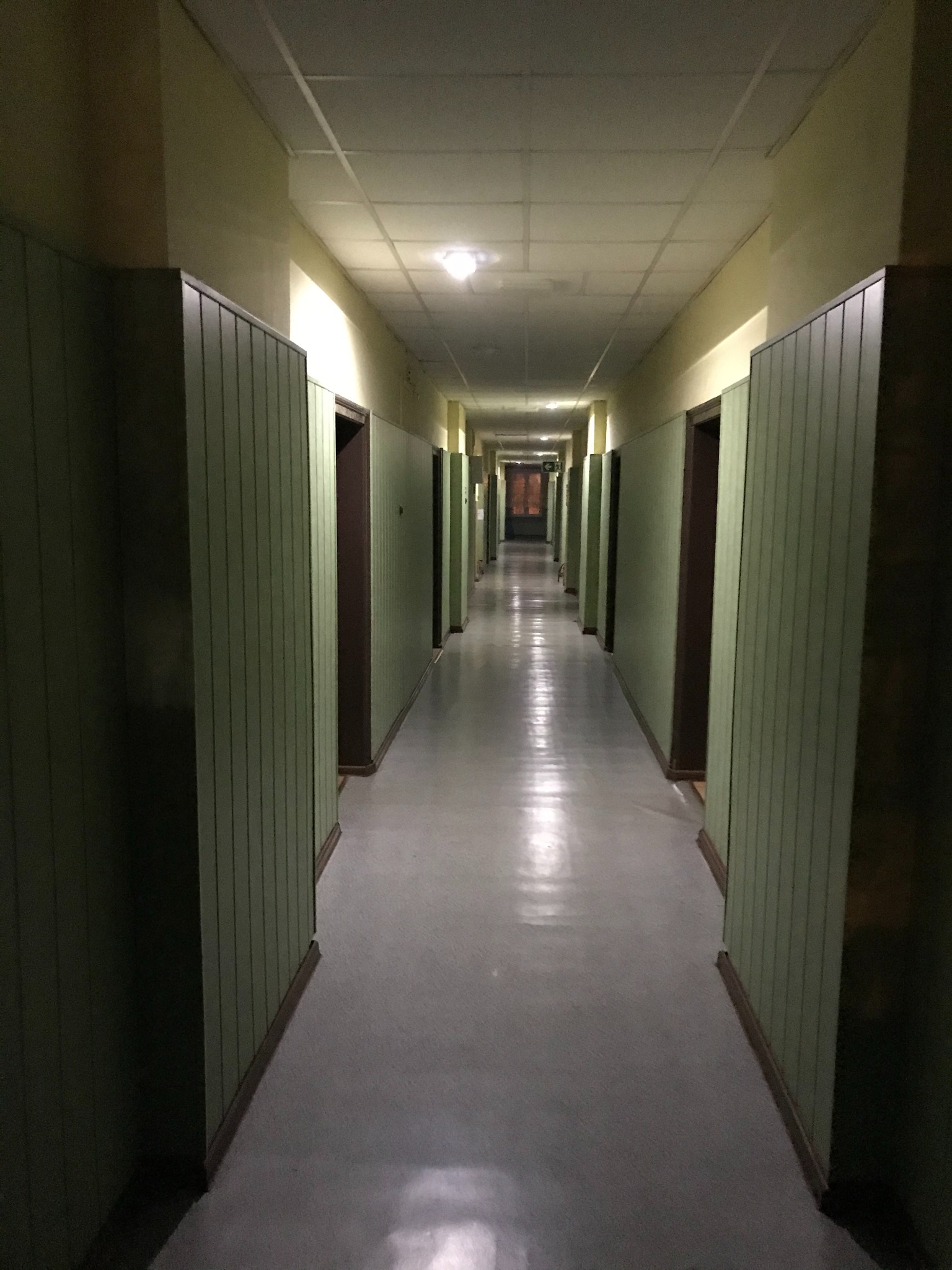 Długi, słabo oświetlony korytarz z rzędem drzwi po obu stronach, wykończony boazerią w odcieniach zieleni i szarości, z widoczną instalacją oświetleniową na suficie.