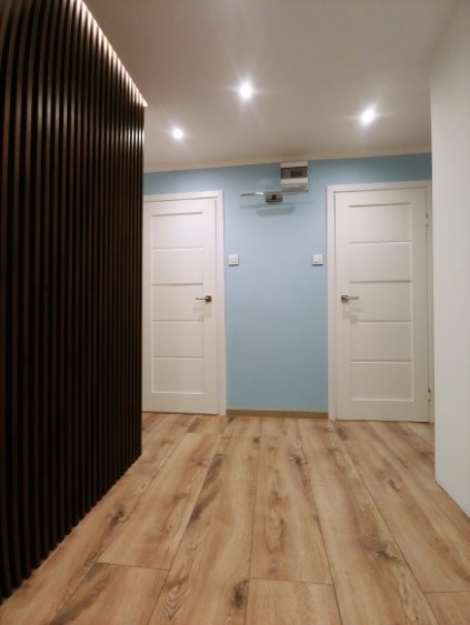 Nowoczesny korytarz z drewnianą podłogą, błękitnymi ścianami i dwiema białymi drzwiami z poziomymi panelami, widziany z perspektywy podłogi. Ciemnobrązowa, pionowa dekoracja ścienna po lewej...