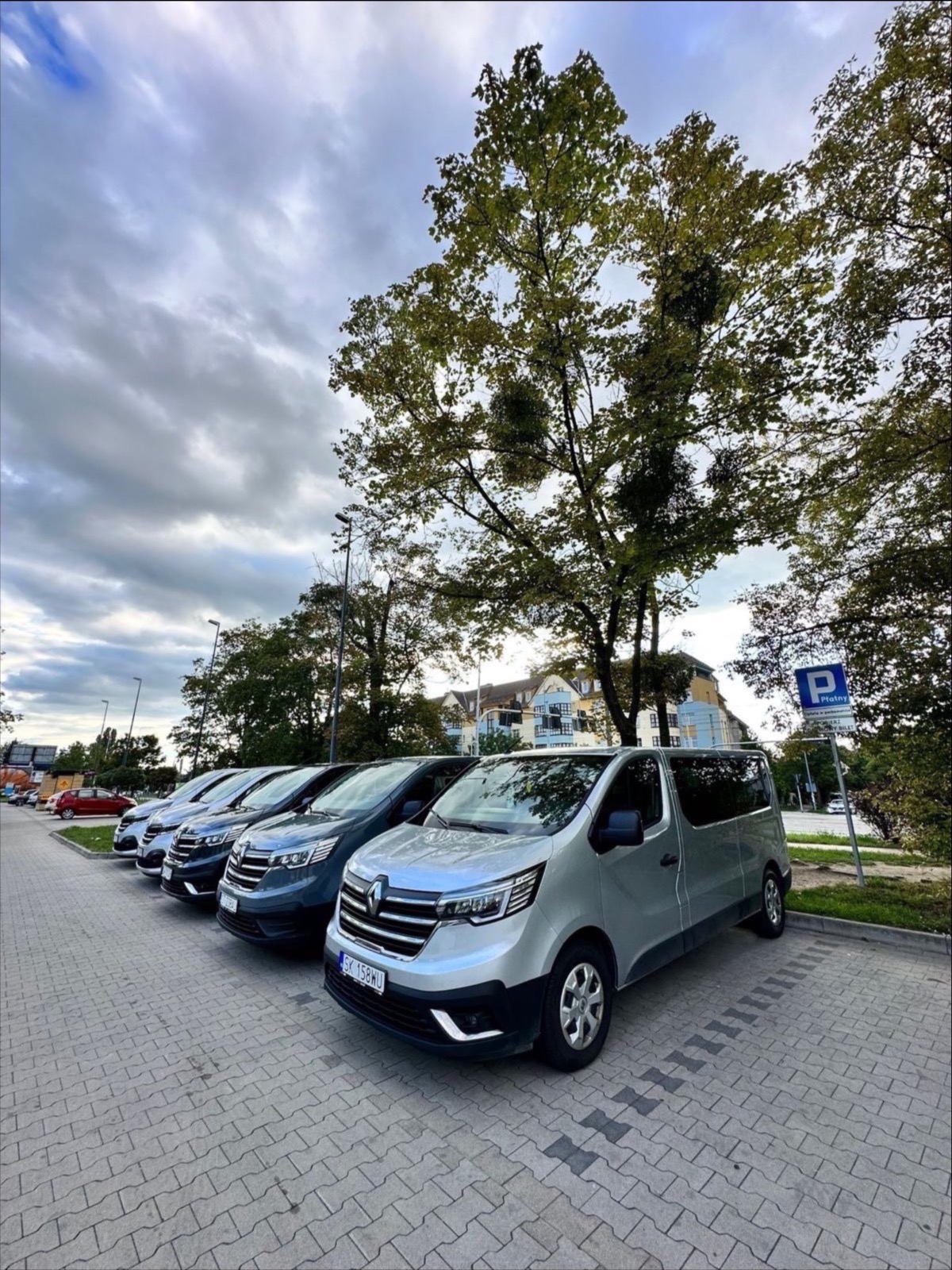 Rząd zaparkowanych, srebrnych i granatowych vanów Renault Trafic, stojących na kostce brukowej pod drzewem z jemiołą w pochmurny dzień.