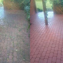 APclean Przemysław Przybyło - Kostka brukowa przed i po czyszczeniu, zarośnięta chwastami po lewej, czysta i czerwona po prawej stronie. Widoczne rośliny w tle.