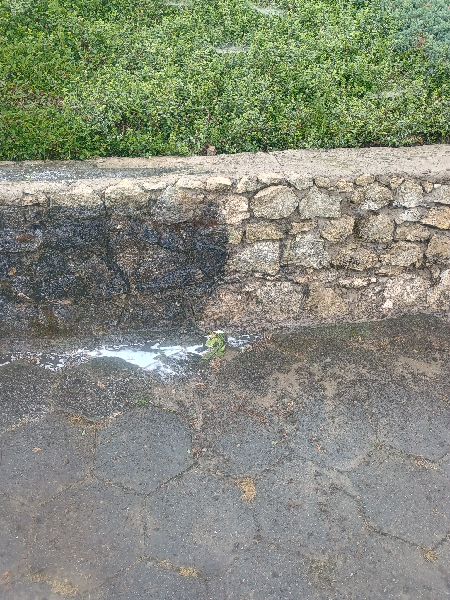 Fragment kamiennej ściany częściowo wyczyszczonej, z widocznymi zabrudzeniami i pozostałościami środka czyszczącego na kostce brukowej