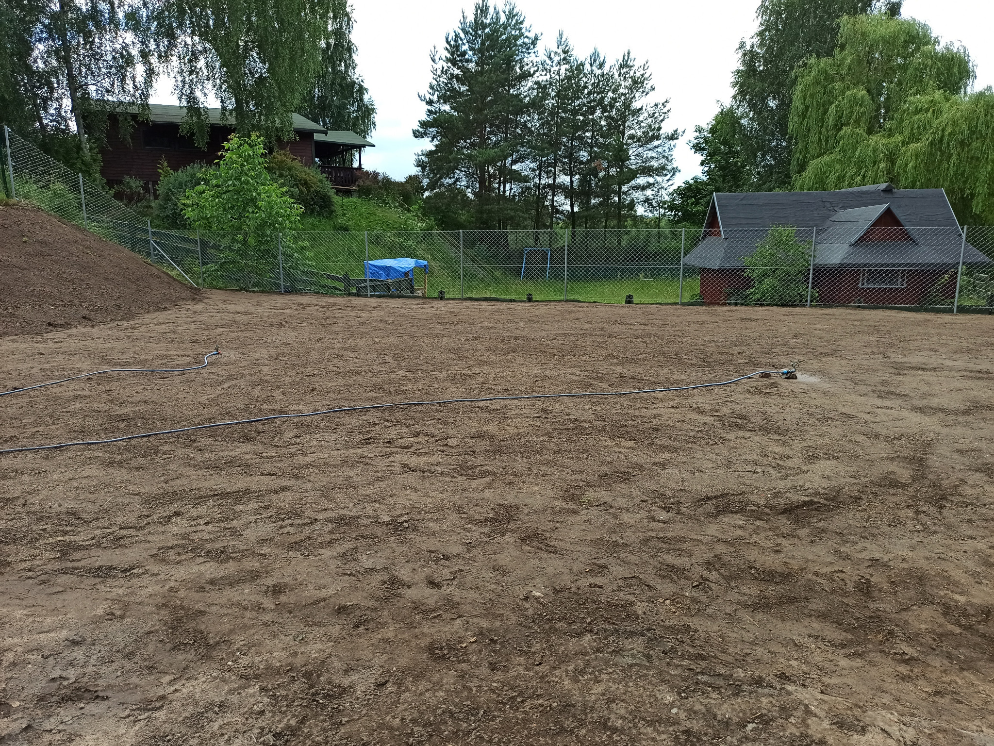 Przygotowany teren pod przyszły trawnik, rozłożone węże nawadniające, widoczny dom i drzewa w tle.