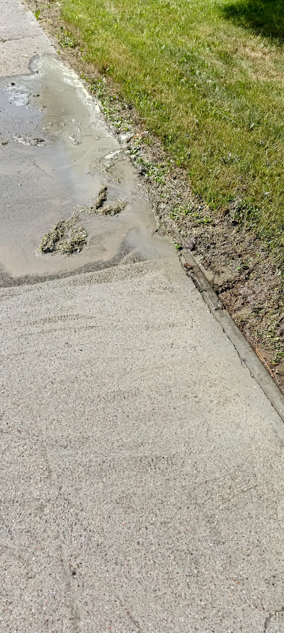 Mokry chodnik z resztkami trawy i ziemi po czyszczeniu, przylegający do trawnika. Widoczne ślady po strumieniu wody i pozostałości po usuniętych zabrudzeniach.