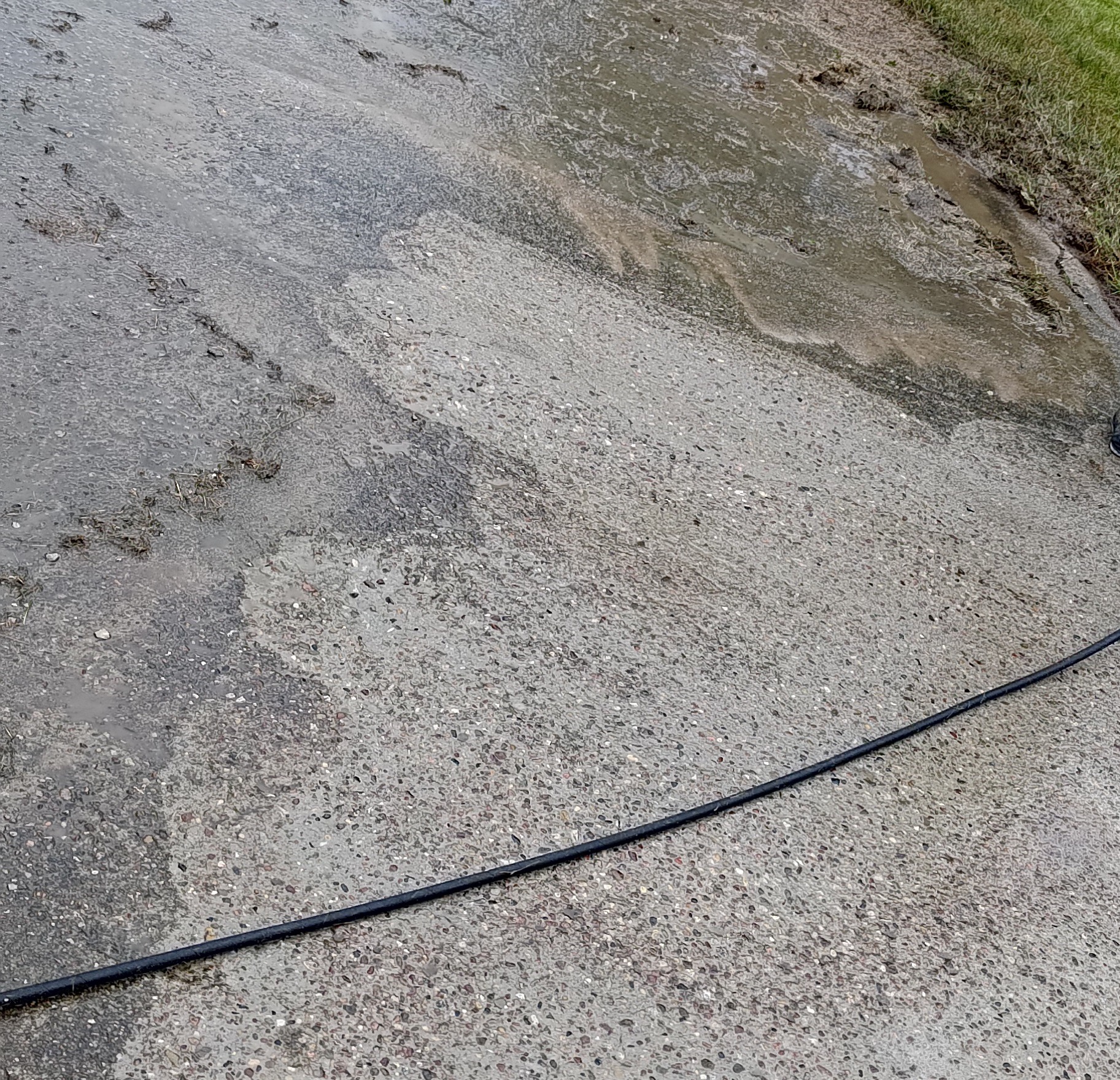 Fragment czyszczonej, mokrej kostki brukowej z widocznym wężem. Częściowo umyta powierzchnia kontrastuje z zabrudzoną. Widoczne ślady ziemi i trawy.