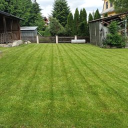 Przycinanie drzew Rabka-Zdrój 1