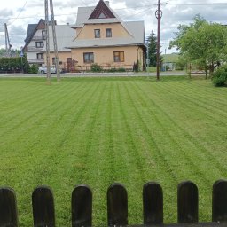 Przycinanie drzew Rabka-Zdrój 2