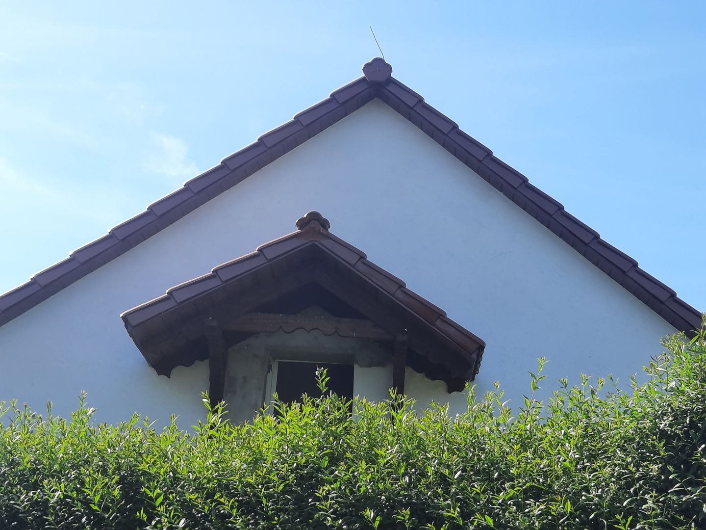 Fragment dachu dwuspadowego z brązową dachówką, lukarna z drewnianymi wspornikami, widok z dołu przesłonięty żywopłotem na tle błękitnego nieba.