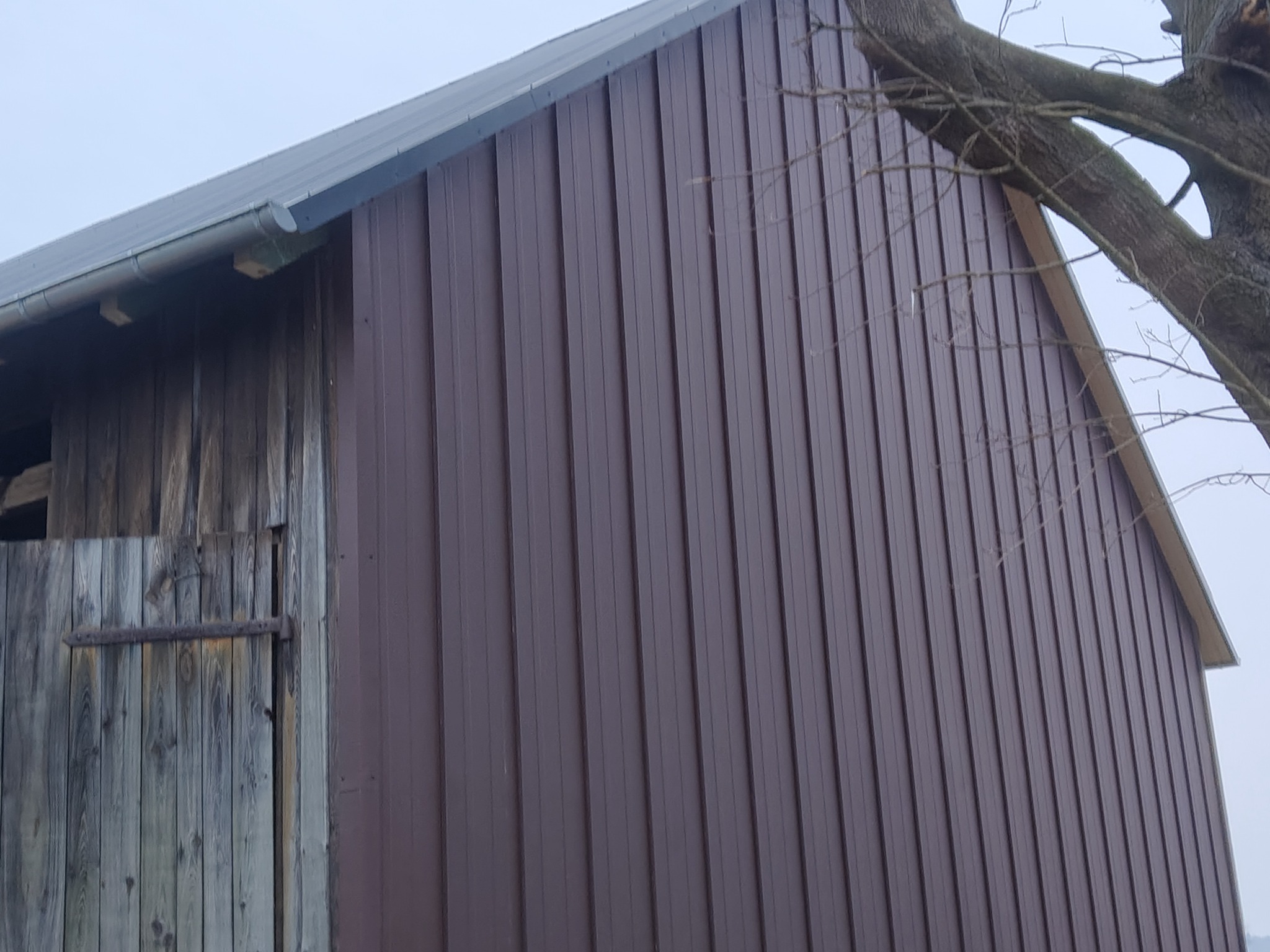 Brązowa blacha trapezowa na ścianie budynku gospodarczego z drewnianymi drzwiami i widoczną rynną, ujęcie z dołu, fragment drzewa w prawym górnym rogu.