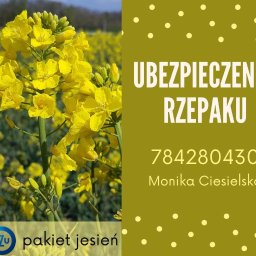 Ubezpieczenie firmy Bobin 4