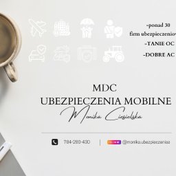 Ubezpieczenie firmy Bobin 3