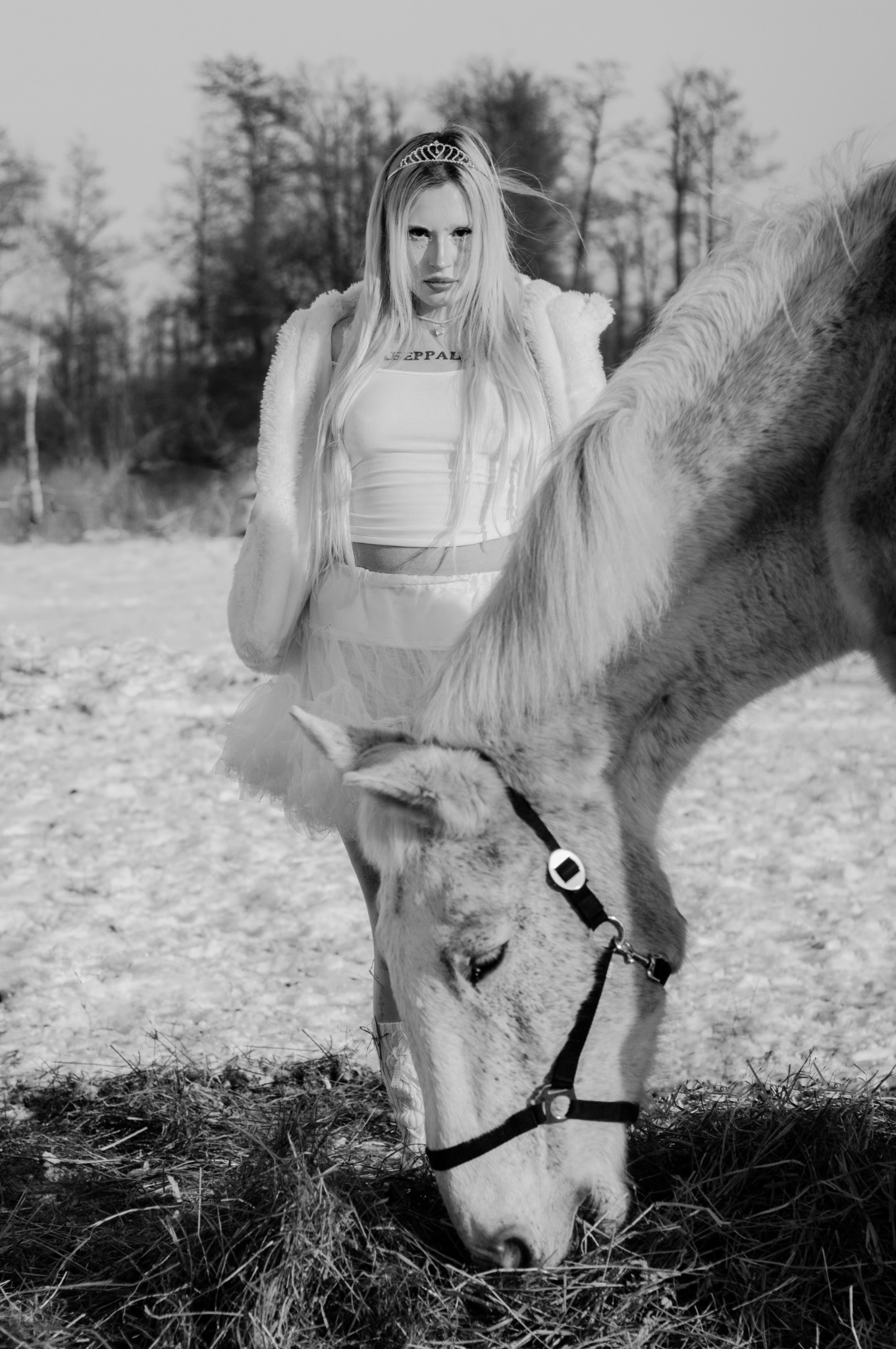 Czarno-białe zdjęcie kobiety w koronie i białym stroju stojącej obok konia jedzącego siano na tle zimowego krajobrazu.