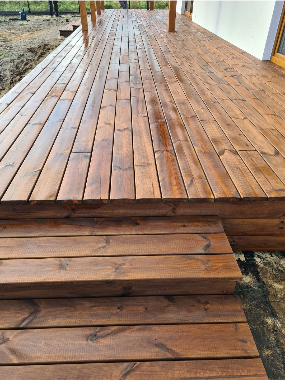 Świeżo zaimpregnowany, drewniany taras z niskimi schodami wejściowymi, widoczny z perspektywy żabiej, z mokrą powierzchnią odbijającą światło.