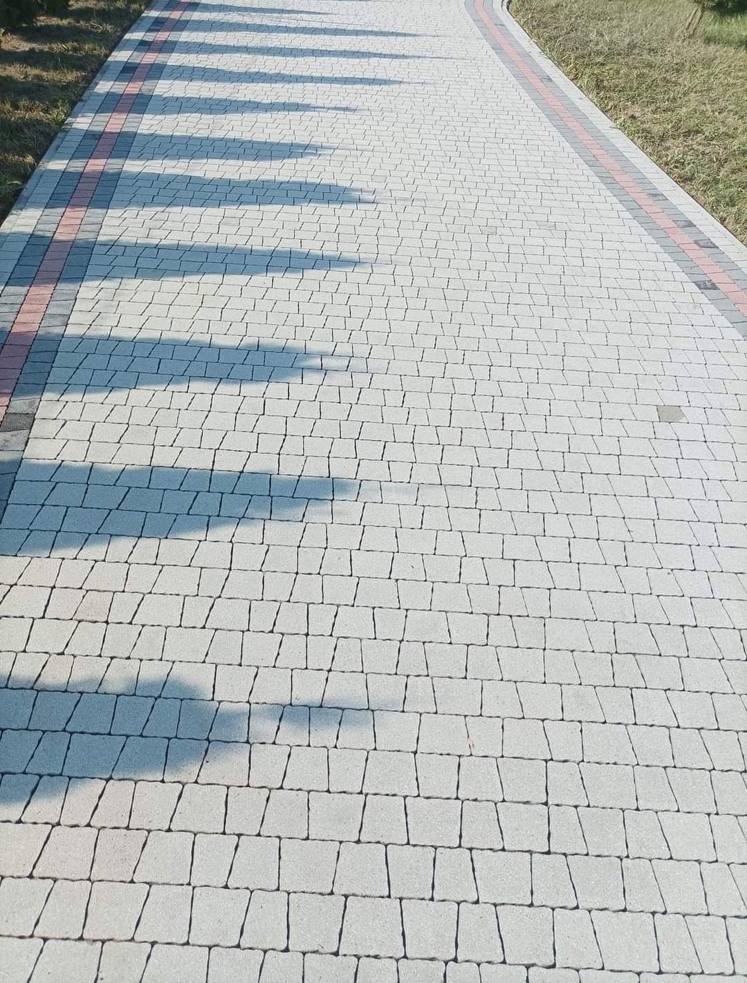 Ułożona kostka brukowa w odcieniach szarości, z bordiurą w kolorze czerwono-szarym, oświetlona bocznym światłem słonecznym tworzącym długie cienie drzew.