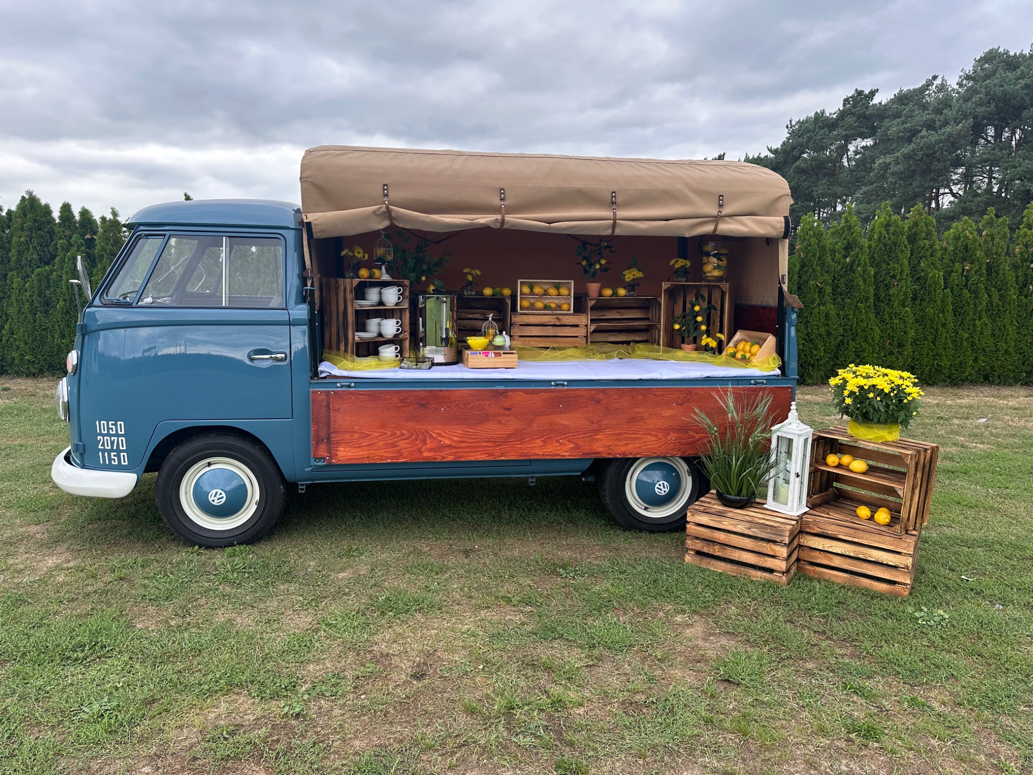 Niebieski VW Transporter przerobiony na mobilny bar z napojami, udekorowany cytrynami, kwiatami i drewnianymi skrzynkami na trawniku.