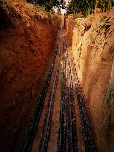 Wykop z ułożonymi kablami telekomunikacyjnymi lub energetycznymi, widoczne ślady ziemi na kablach, w tle kukurydza.