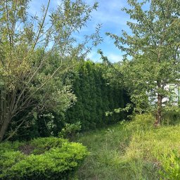 O to kolejna nasza praca tym razem zaniedbany mega ogródek przywracamy do życia i możliwości korzystania 