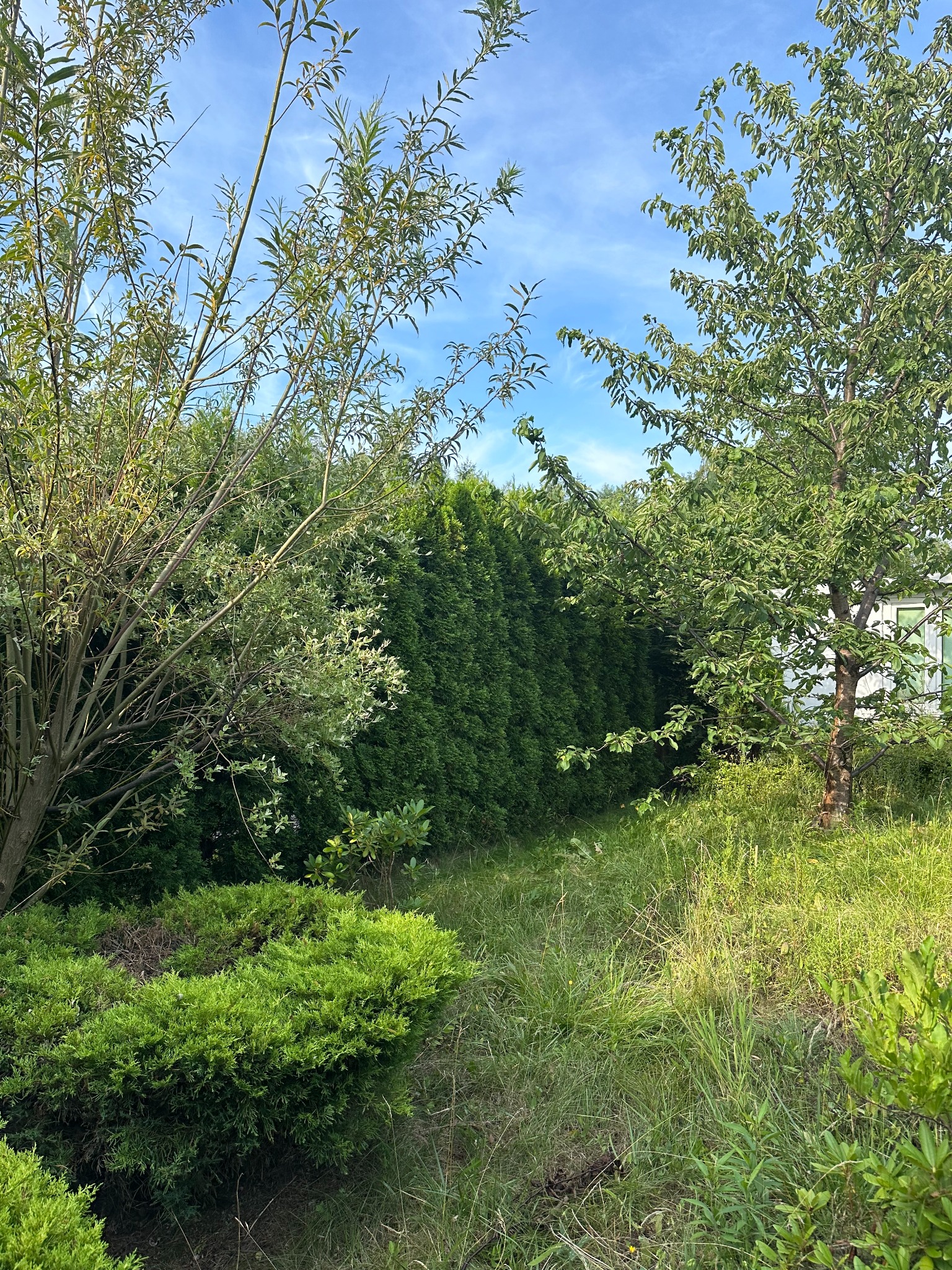 O to kolejna nasza praca tym razem zaniedbany mega ogródek przywracamy do życia i możliwości korzystania