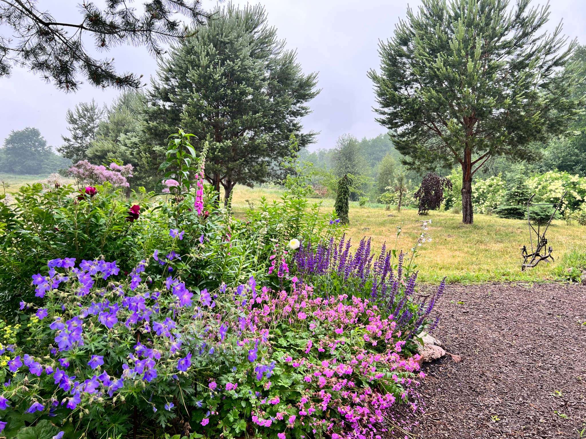 Kwitnący ogród z fioletowymi i różowymi kwiatami na pierwszym planie, wysokie drzewa w tle, ścieżka z kory prowadząca w głąb ogrodu.