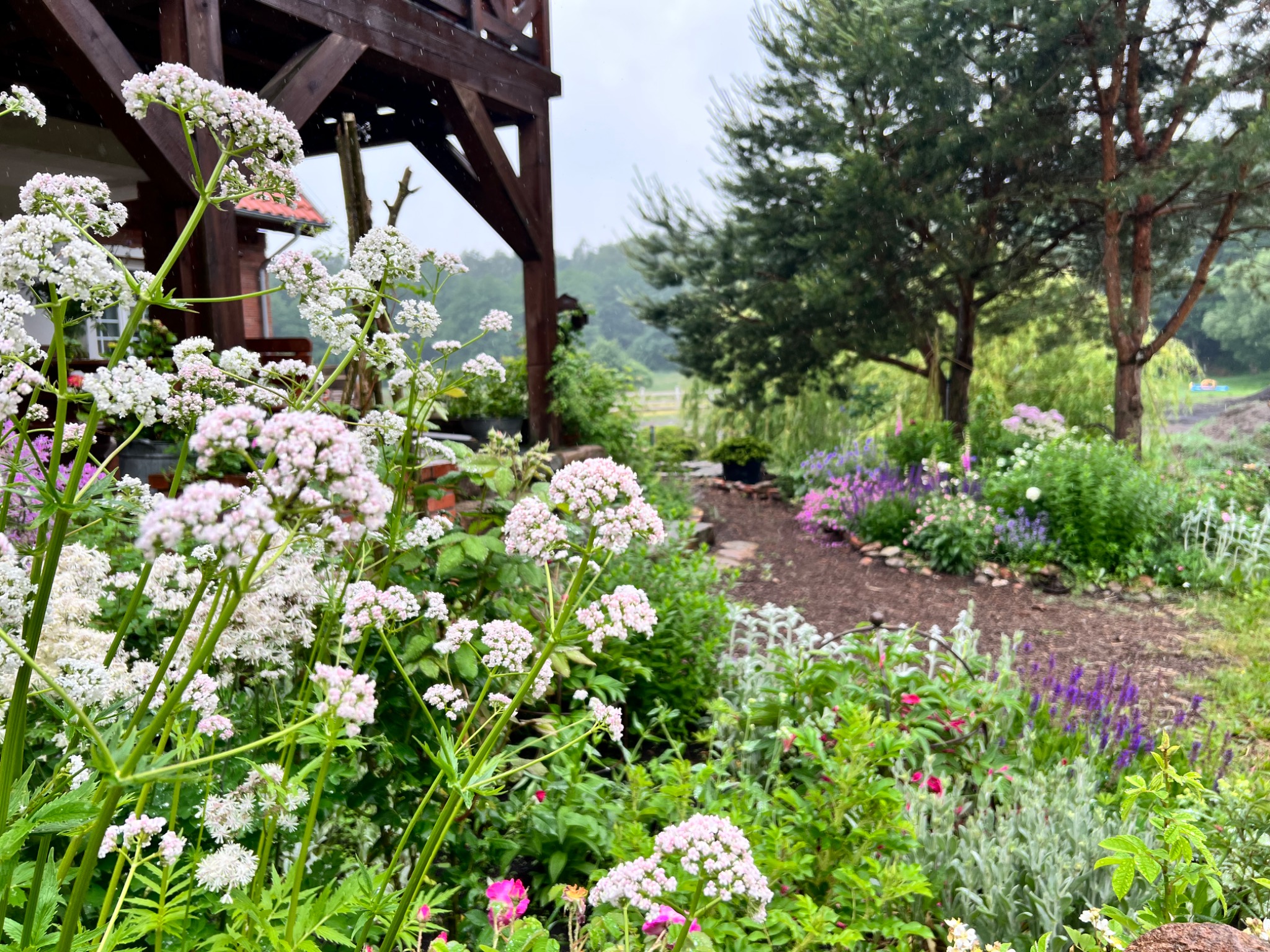 Kwitnący na biało i różowo ogród z drewnianą konstrukcją w tle, w pochmurny dzień.