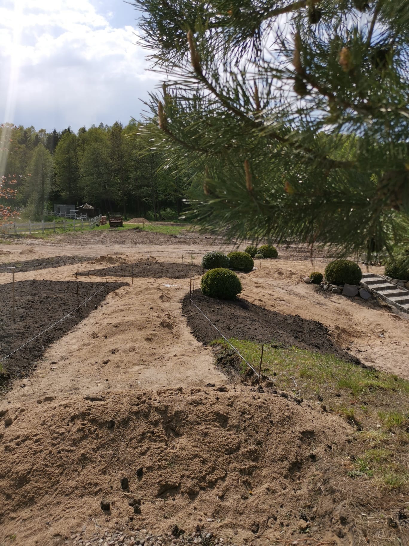 Przygotowany teren pod ogród z wytyczonymi ścieżkami, widoczne krzewy kuliste i częściowo zasiana trawa, w tle las i altana.