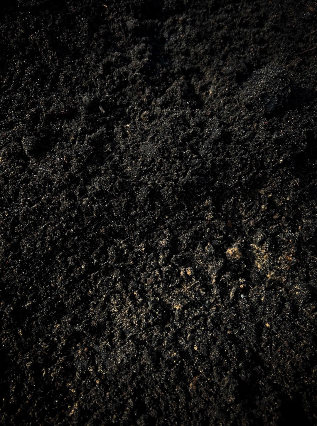 Ciemna, wilgotna gleba ogrodowa w zbliżeniu, z widoczną strukturą i niewielkimi grudkami, oświetlona z góry, tworząca naturalną teksturę.