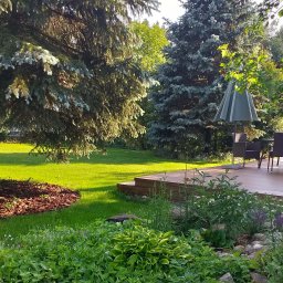 Wycinka drzew Warszawa 2