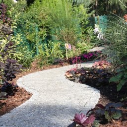 Wycinka drzew Warszawa 1