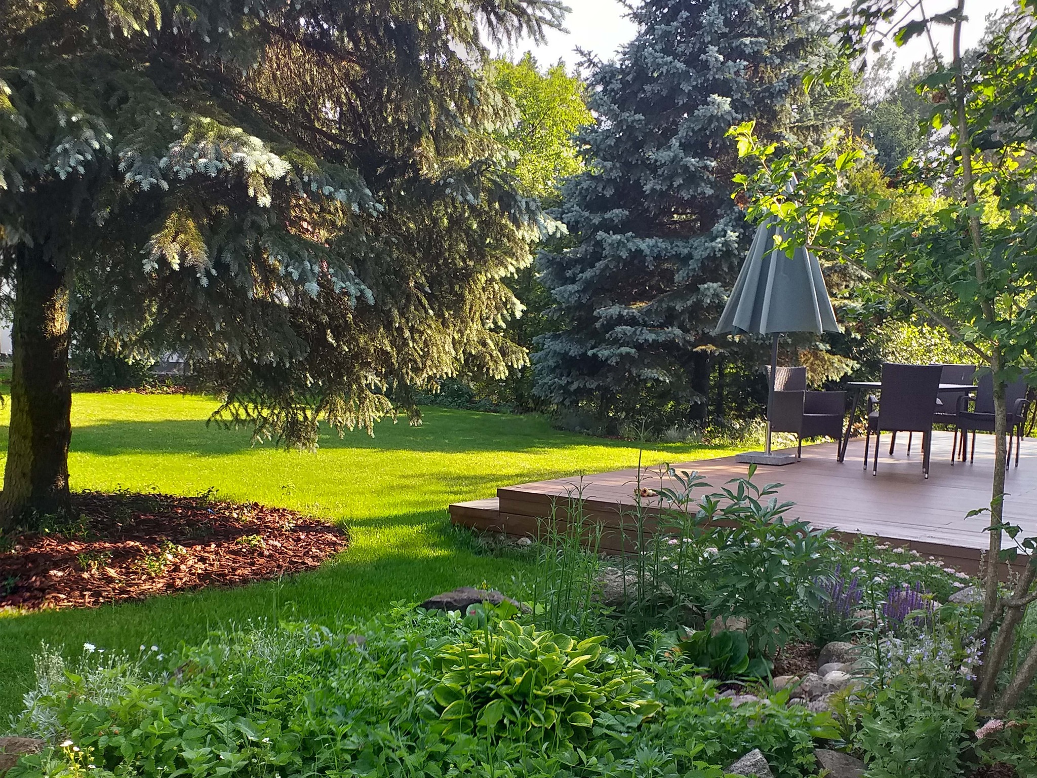 Urokliwy ogród z drewnianym tarasem, meblami ogrodowymi i parasolem w tle, otoczony zielonym trawnikiem, drzewami iglastymi i rabatami kwiatowymi.