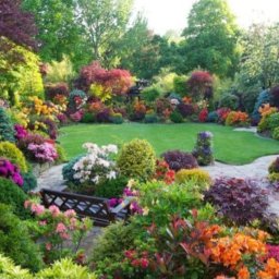 Ogrody niepruszewo - Pomoc Domowa Tarnowo Podg&oacute;rne