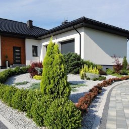 Sadzenie drzew Tarnowo Podgórne 2