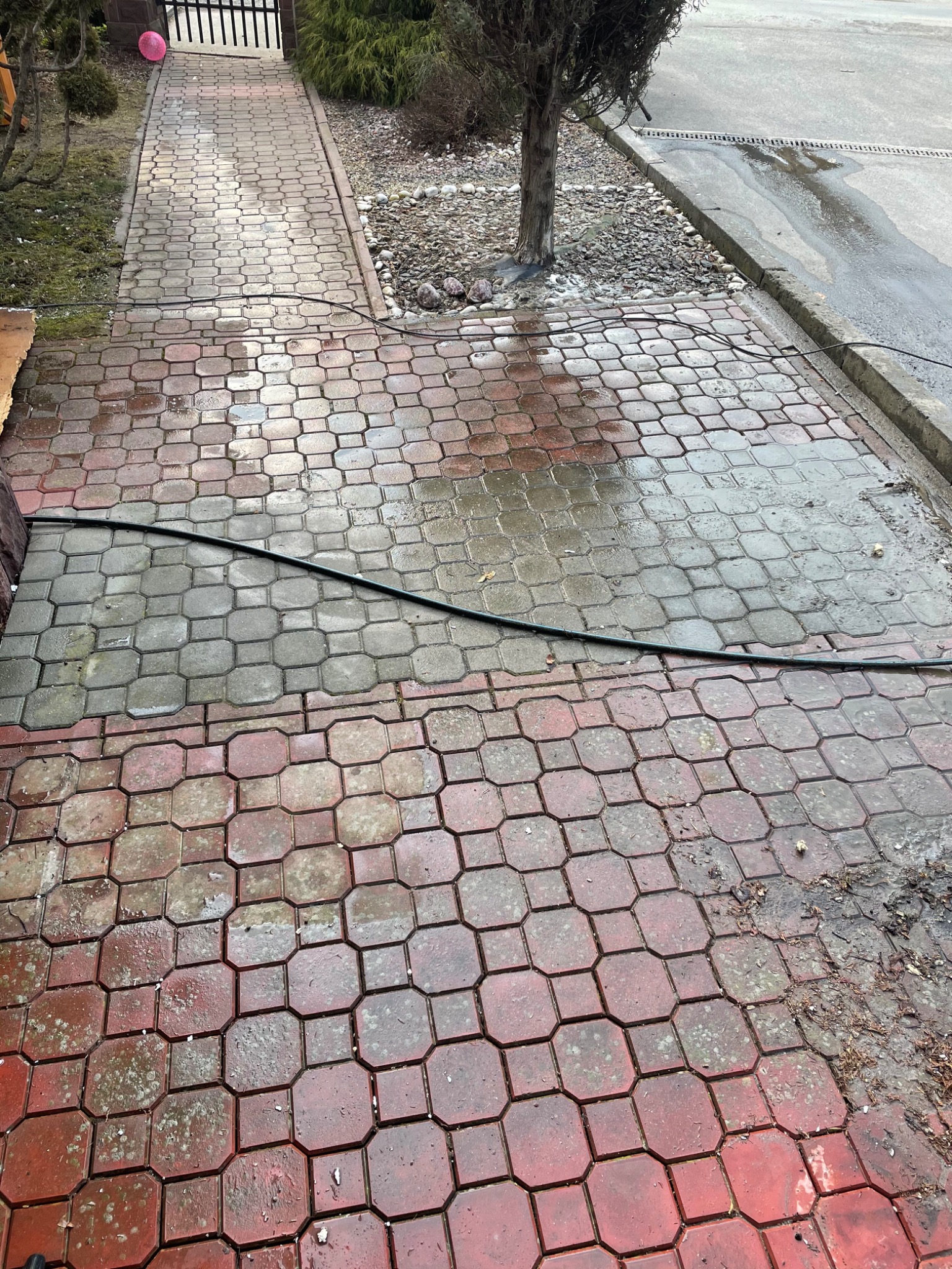 Częściowo wyczyszczona, mokra kostka brukowa w odcieniach czerwieni i szarości, z widocznym wężem ogrodowym i fragmentem chodnika oraz roślinności w tle.