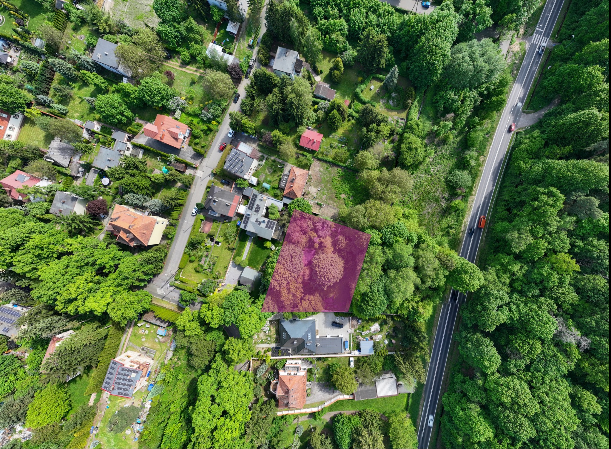 Widok z drona na osiedle domów jednorodzinnych otoczonych zielenią, z zaznaczoną działką budowlaną w kolorze fioletowym.