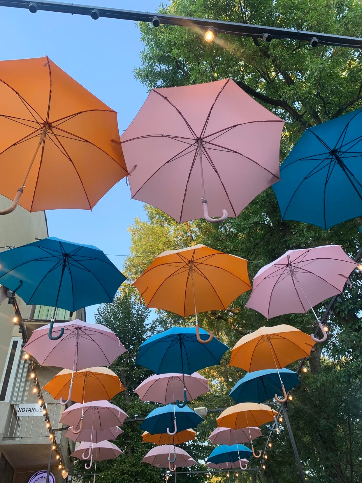 Dekoracja zewnętrzna z kolorowych parasoli zawieszonych na linach, oświetlonych lampkami, na tle błękitnego nieba i zielonych drzew.