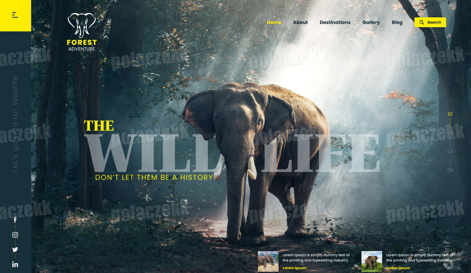 Projekt strony internetowej o tematyce przyrodniczej z grafiką słonia w lesie i hasłem 'THE WILD LIFE. DON'T LET THEM BE A HISTORY'