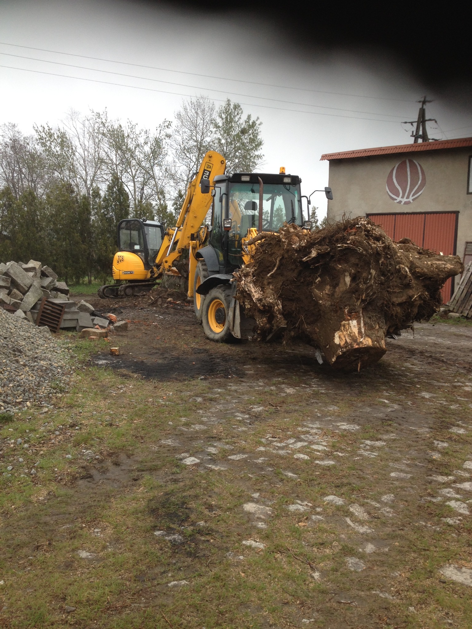 Żółta koparko-ładowarka JCB transportuje duży, wykopany korzeń drzewa na błotnistym placu budowy, w tle widoczny budynek z motywem koszykówki i mniejsza koparka.